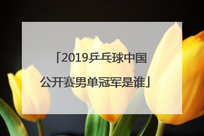 2019乒乓球中国公开赛男单冠军是谁